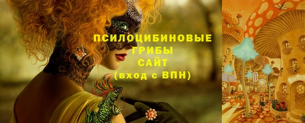 прущий лед Абаза