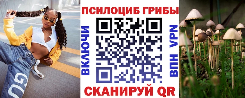 кракен зеркало  Симферополь  Галлюциногенные грибы Psilocybe 