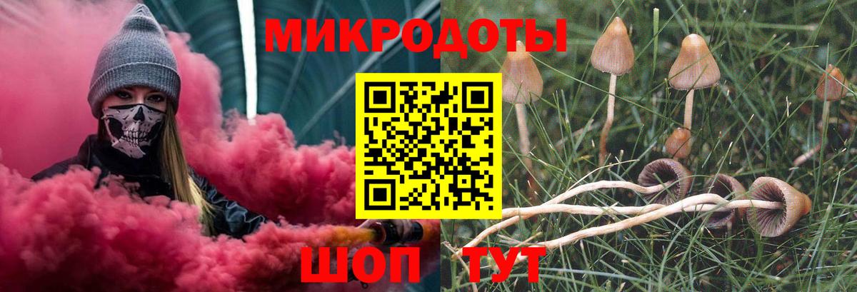 Псилоцибиновые грибы Psilocybe  Галлюциногенные грибы Magic Shrooms  Симферополь  Вход с VPN 